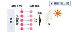 外壁面の拡大図