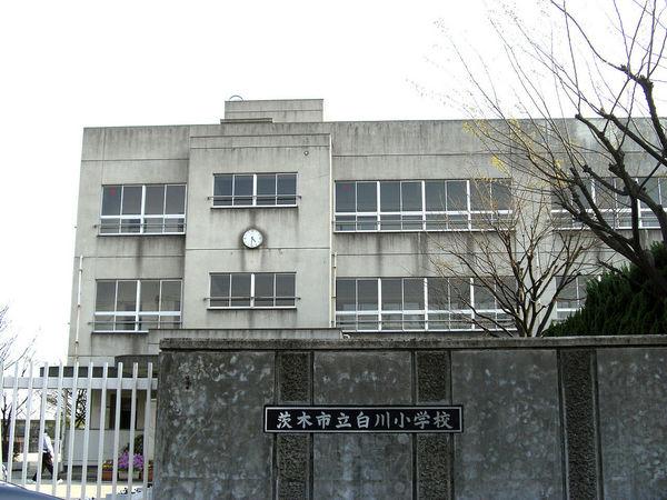 東茨木ハイタウン白川高層住宅５号棟　その他　白川小学校