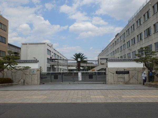 レスタージュ高槻　その他　第一中学校