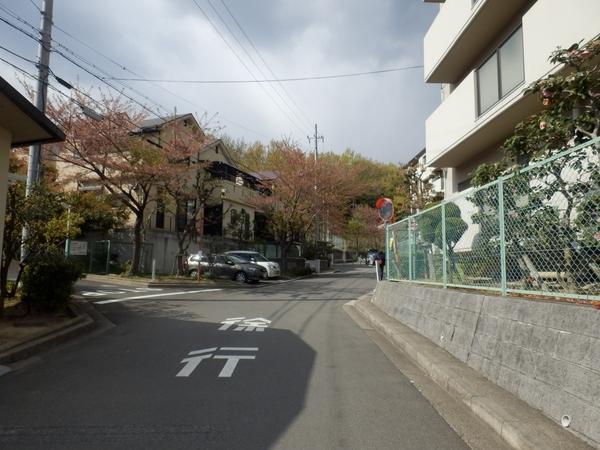 サンヴェール高槻２号棟　その他　周辺道路