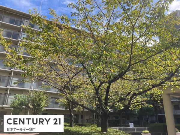 マイシティー高槻　その他現地　